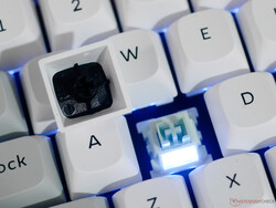 Keychron Q1 HE 8K kapcsolós háttérvilágítás