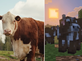 A Minecraft Tiny Takeover frissítésből származó képernyőmentés, amely a játékban lévő teheneket hasonlítja össze egy valódi tehénnel