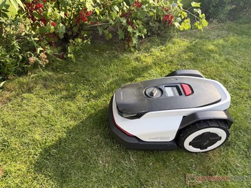 Ha viszont növények lógnak ki a gyep széléről, a robotfűnyíró nagy ívben elkerüli őket.
