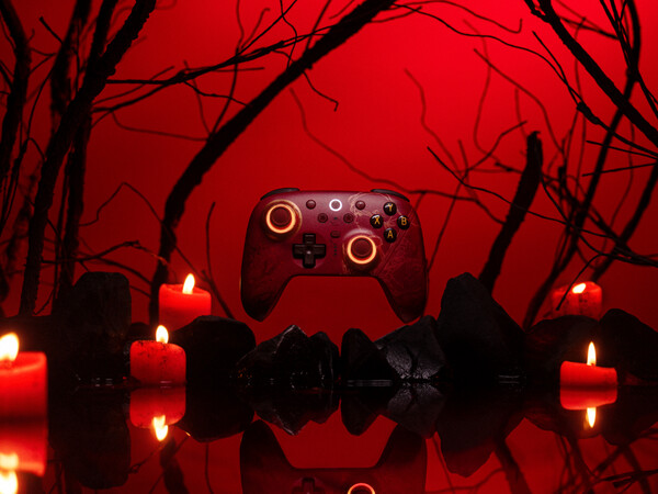 (Kép forrása: 8BitDo)