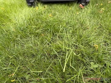 Az Airseekers Tron hosszabb fűnyesedéket hagy a tesztben...