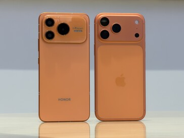 A hasonlóságok a hátoldalon dominálnak.