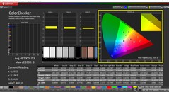CalMAN ColorChecker (profil: kalibrált, cél színtér: P3)
