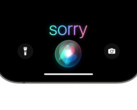 Apple beleegyezett a per rendezésébe, de nem ismerte el a vétkességet.