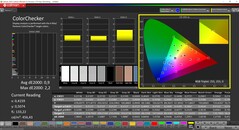 CalMAN ColorChecker (profil: sRGB, cél színtér: sRGB)