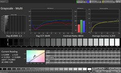 CalMAN szürkeárnyalatos