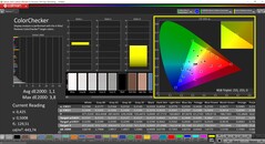 CalMAN ColorChecker (profil: sRGB, cél színtér: sRGB)