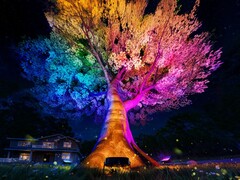 A Govee&#039;s Outdoor Tree Lights (a képen) 2025 szeptemberében kerül forgalomba. (Kép forrása: Govee)