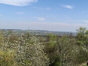 OnePlus 13 - 2x zoom