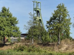 5-szeres nagyítás