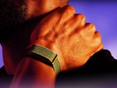 A Garmin várhatóan hamarosan piacra dob egy, az itt bemutatott Polar Loop-hoz hasonló terméket.