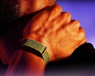A Garmin várhatóan hamarosan piacra dob egy, az itt bemutatott Polar Loop-hoz hasonló terméket.