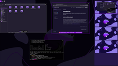 Rhino Linux 2026.1 Lomiri-támogatás asztali és mobil számítógépen
