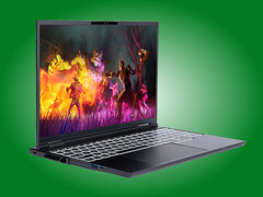 Az Adder Pro 165 Hz-es, 16:10 képarányú OLED-kijelzővel rendelkezik.