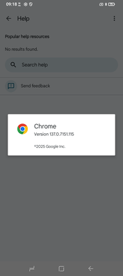 A Chrome 137 előre telepítve van. (Kép forrása: Sergey Tarasov - Notebookcheck)