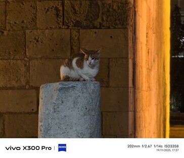 Vivo X300 Pro 200 mm telekonverter nélkül.