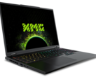 A generációs ugrás a mobil RTX 4080 és a mobil RTX 5080 között ott van, ahol azt várjuk, hogy DLSS upscaling funkciók nélkül (Kép forrása: Schenker)