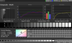 CalMAN szürkeárnyalatos