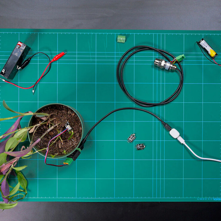 The Pill by Shelly. (Kép forrása: Shelly)