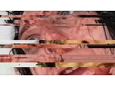 A VILE című horrorjáték képernyőképét: (Kép forrása: DreadXP/Final Girl Games)