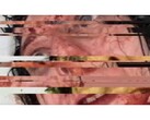 A VILE című horrorjáték képernyőképét: (Kép forrása: DreadXP/Final Girl Games)
