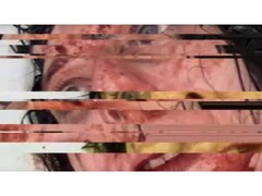 A VILE című horrorjáték képernyőképét: (Kép forrása: DreadXP/Final Girl Games)