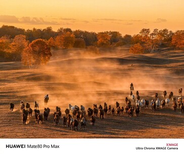 (Kép forrása: Huawei)