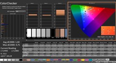 CalMAN: ColorChecker (kalibrált)
