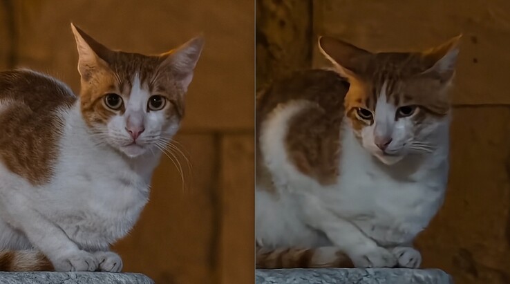 Balra: Telekonverterrel 200 mm-nél. Jobbra: Telekonverter nélkül.