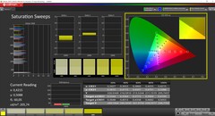 CalMAN telítettség