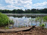 Samsung Galaxy S21 Ultra | photo mode