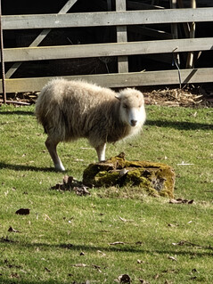 Főkamera (20x zoom)