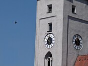 10-szeres nagyítás