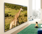 Az LG QNED84B TV promóciós képe.