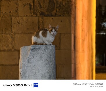 Vivo X300 Pro 200 mm-es objektív telekonverterrel.