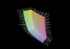 Medion Erazer Deputy 15 P1 vs sRGB