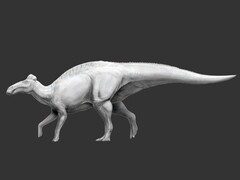 Az Edmontosaurus annectens az első ismert dinoszaurusz, amelynek pataszerű lábai voltak. (Kép forrása: Science.org)