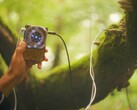 A Pocket Scion a növények elektromos aktivitásán alapuló zenét hoz létre. (Kép forrása: Instruō)