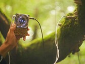 A Pocket Scion a növények elektromos aktivitásán alapuló zenét hoz létre. (Kép forrása: Instruō)