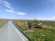 OnePlus 13 - 0,5x zoom (ultra nagy látószögű)
