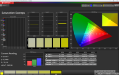 CalMAN telítettség
