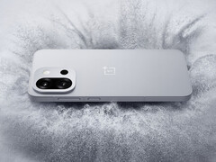 A OnePlus 13T tartalmaz elég sok leminősítést a nagyobb OnePlus 13-hoz képest. (Kép forrása: OnePlus)