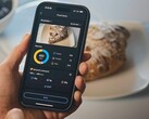 A Zepp alkalmazás Food Log funkciója megérkezett Európába. (Kép forrása: Amazfit)
