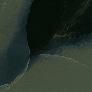 A Pixel 11 Pro Fold háttérképének korai kiszivárgása, amely a fenyőfa, Tidal Swirl megjelenését mutatja be