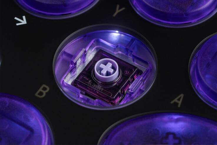 (Kép forrása: 8BitDo)