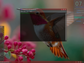 Debian-alapú Besgnulinux 4-0 már elérhető