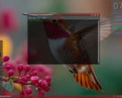 Debian-alapú Besgnulinux 4-0 már elérhető