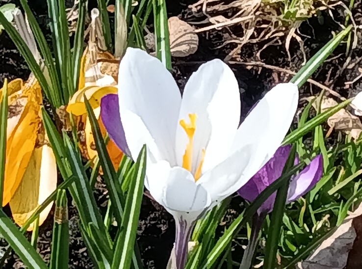 Lenovo Tab K11 Gen 2: Fő kamera 8x zoommal