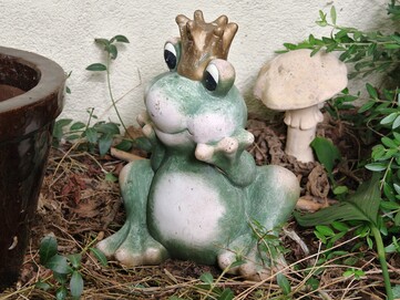 5,6x