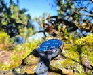 Teszt: Samsung Galaxy Watch Ultra2